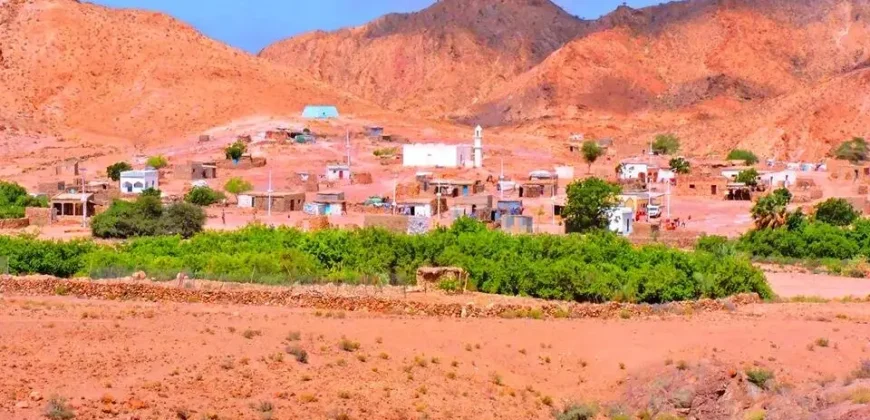 Ferme agricole – Assamo, Djibouti