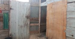 Maison à Vendre, Wahle Daba